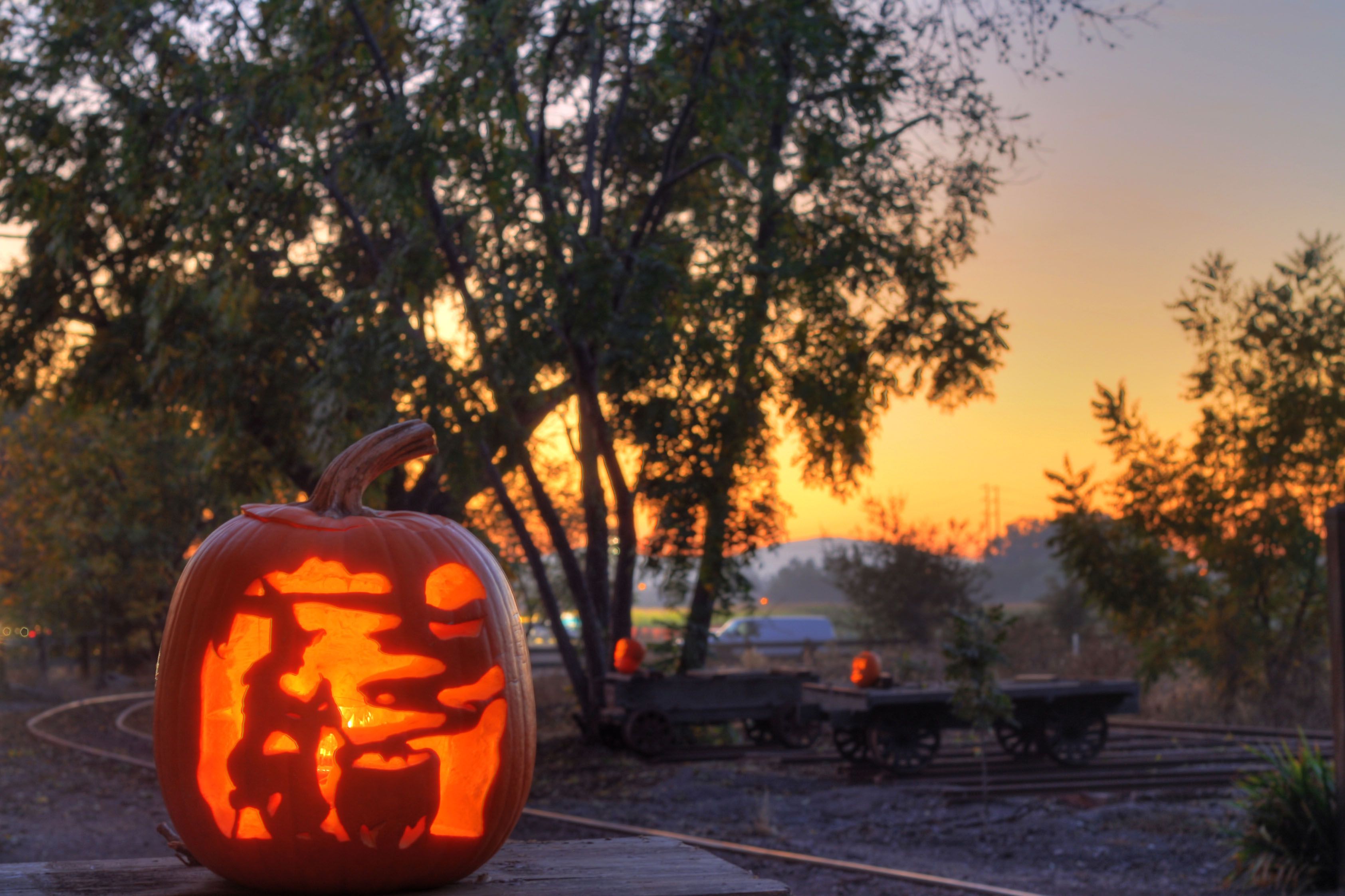Creative pumpkin carving ideas for halloween