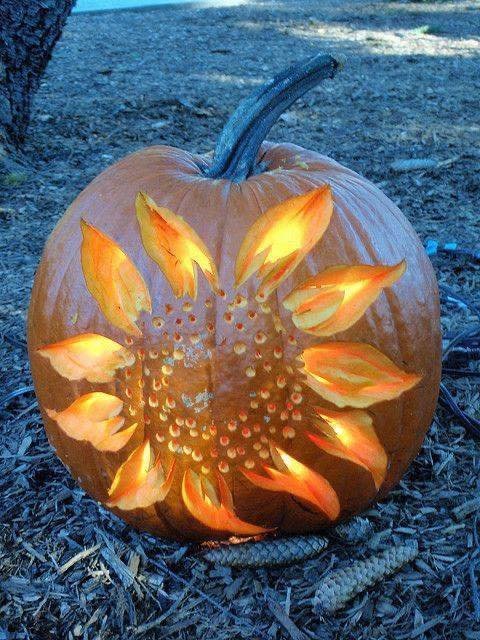 People are carving gorgeous sunflower designs into pumpkins