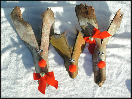 Make florida palm frond reindeer