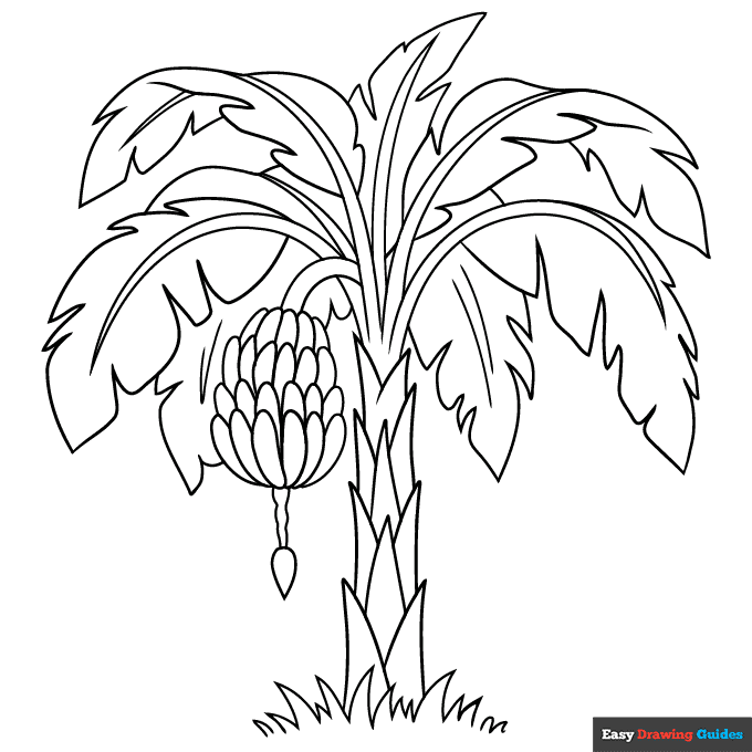 Banana tree coloring page easy drawing guides