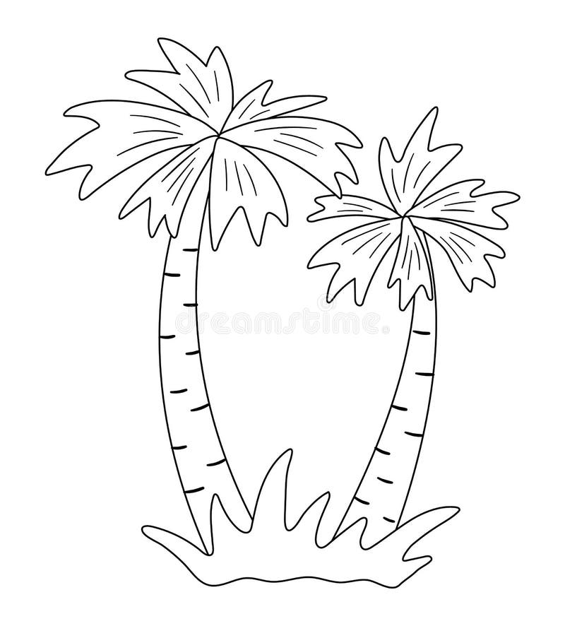 Vector palm tree outline funny tropical exotic plant black and white illustration fun coloring page for children stock vector