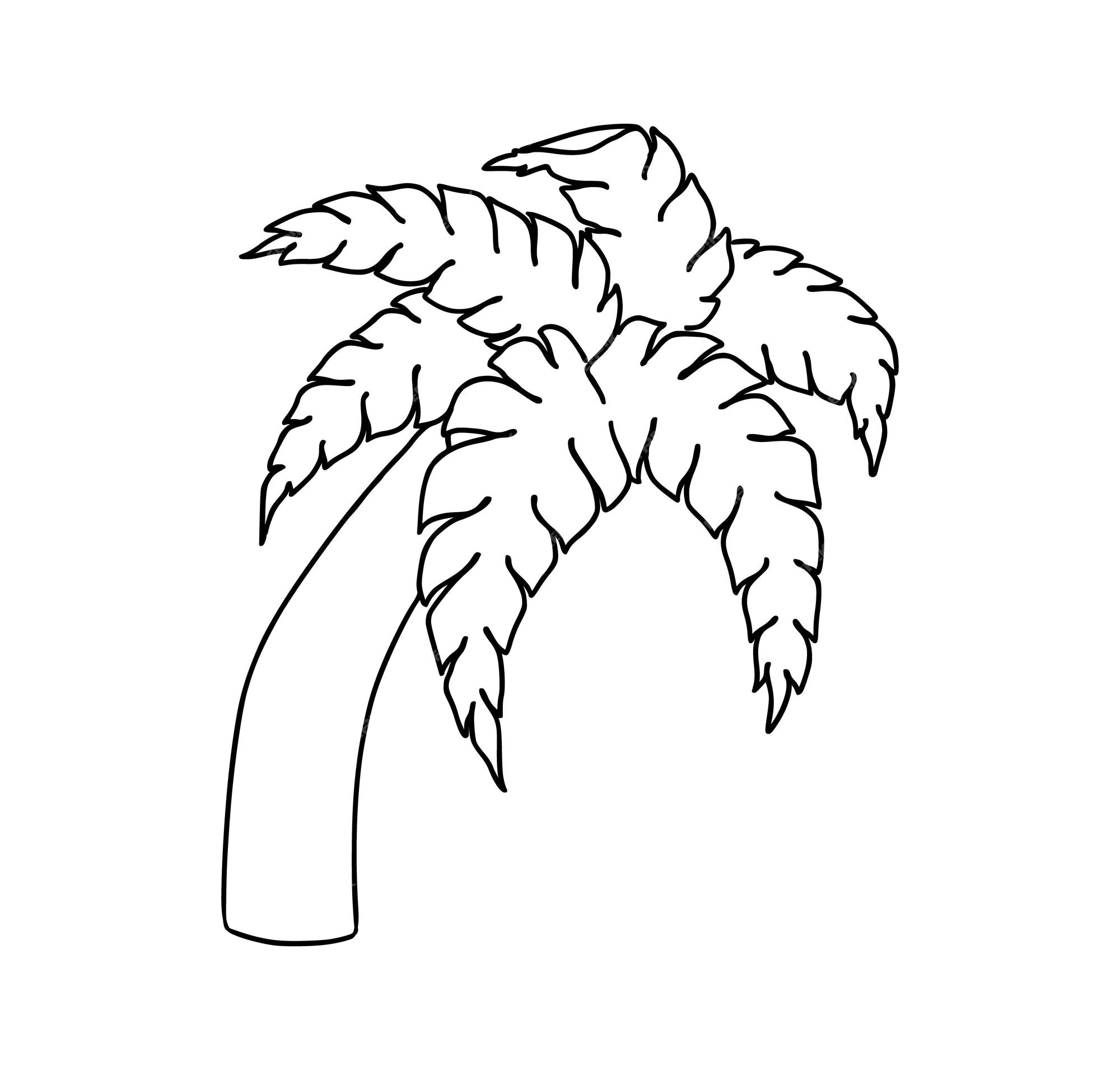 Premium vector palm tree tropical tree plant nature doodle linear cartoon coloring book