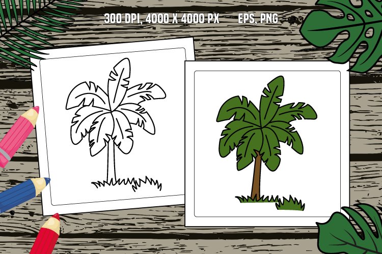 Tropical palm tree for coloring page
