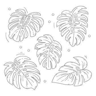 Page palm tree coloring images