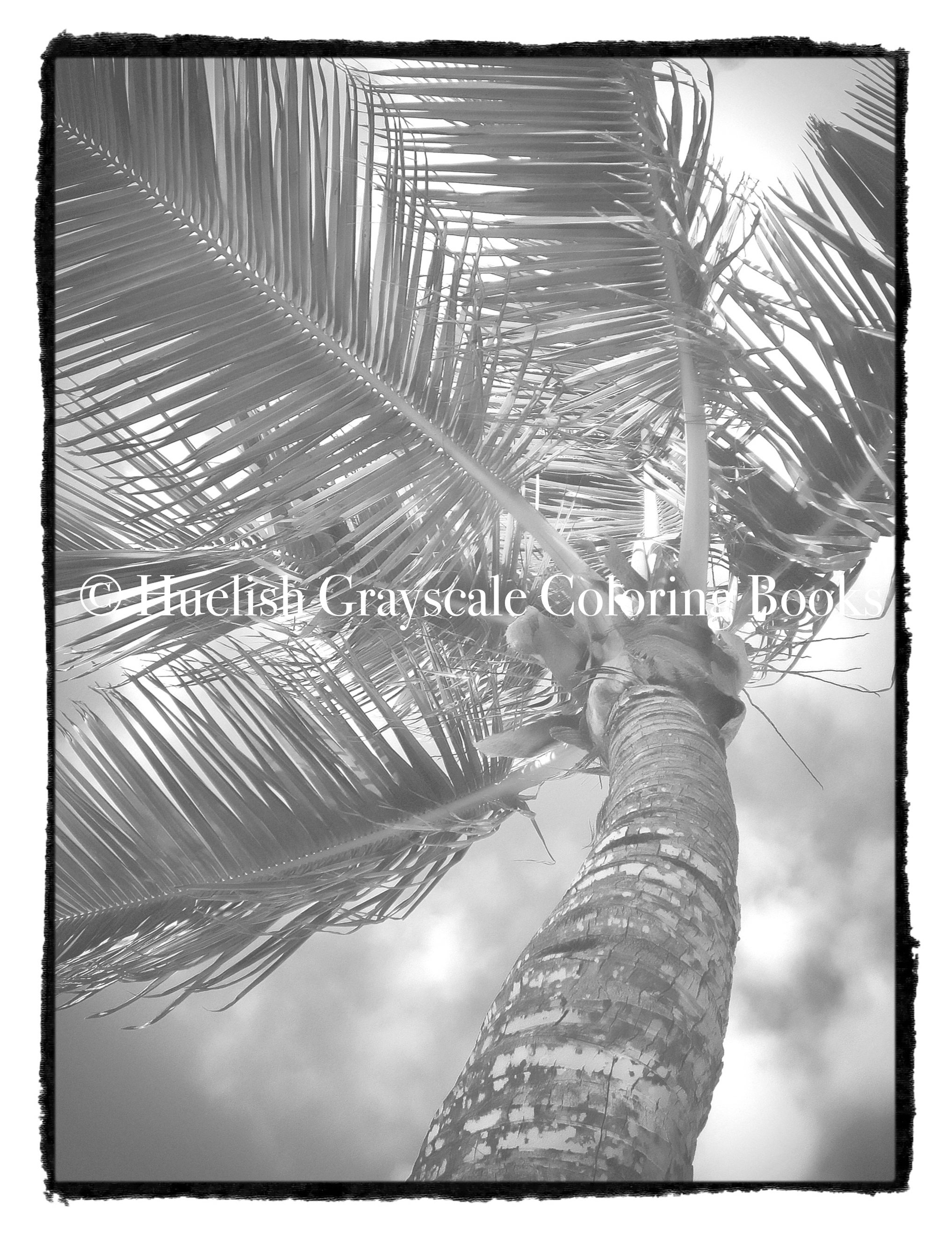 Downloadable grayscale coloring page palm tree from beautiful nature