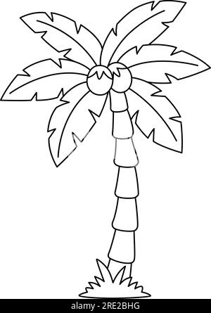 Coconut tree isolated coloring page for kids stock vector image art
