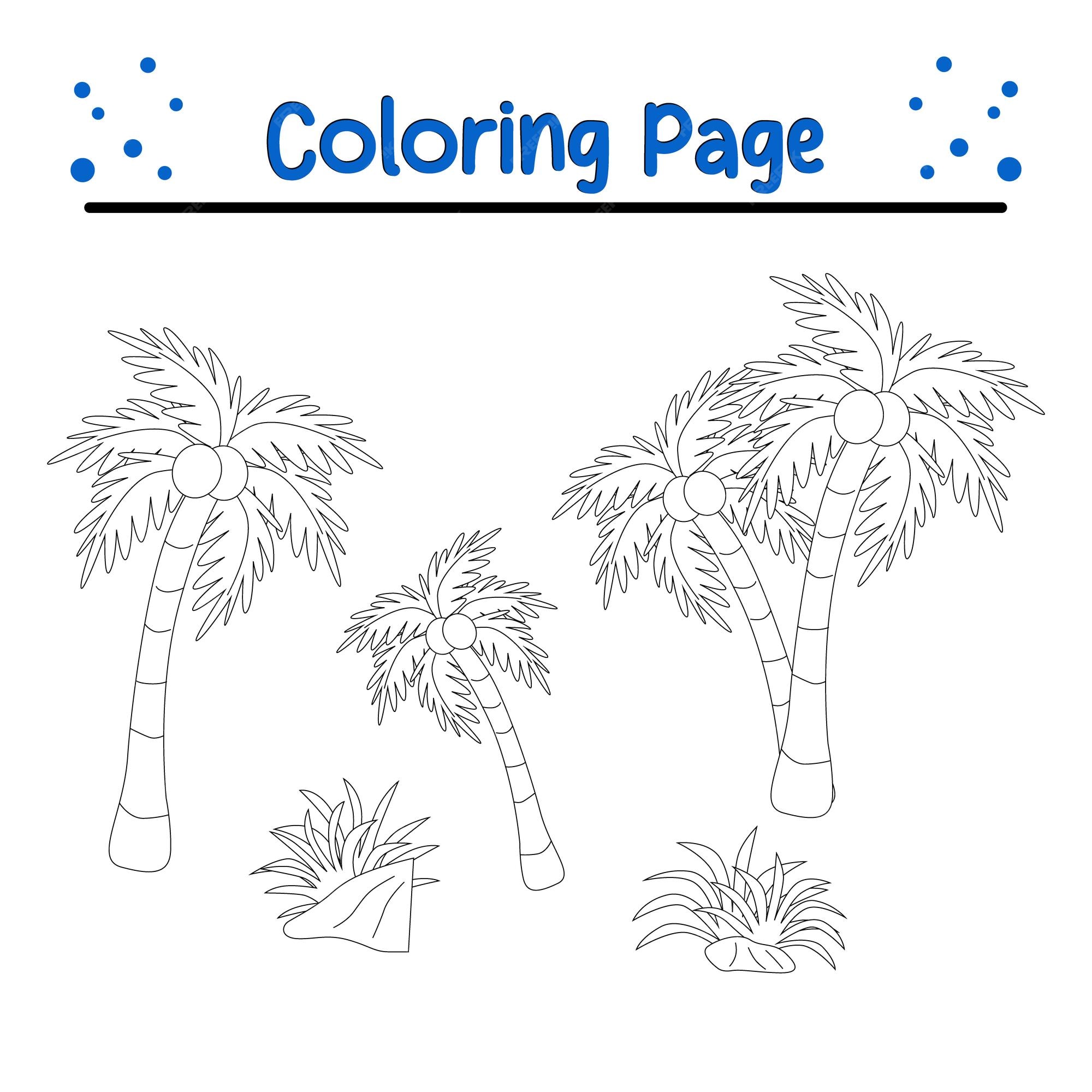 Premium vector vector palm tree coloring for children