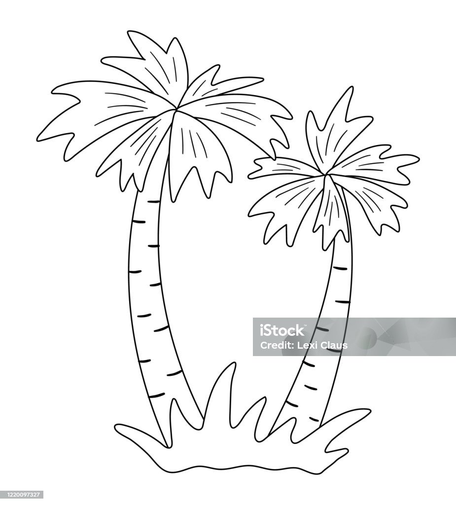 Vector palm tree outline funny tropical exotic plant black and white illustration fun coloring page for children jungle summer clip art stock illustration