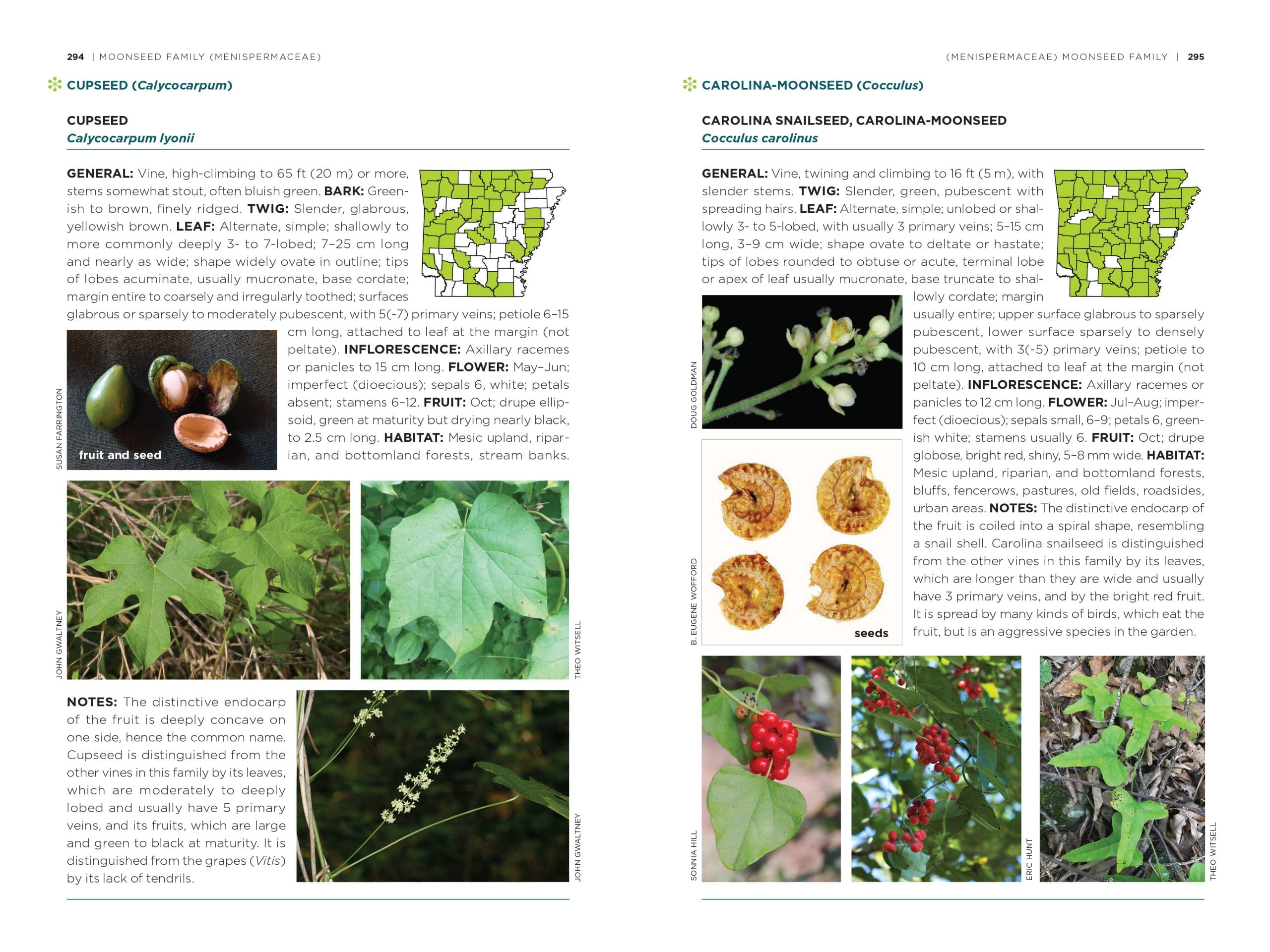 Trees shrubs and woody vines of arkansas university of arkansas press