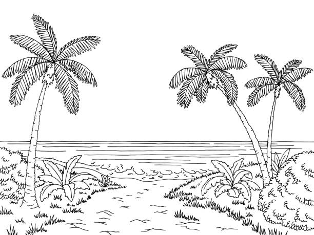 Sea coast road graphic black white landscape sketch illustration vector stock illustrations royalty