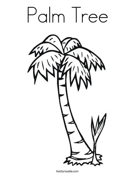 Palm tree coloring page tree coloring page chicka chicka coloring pag