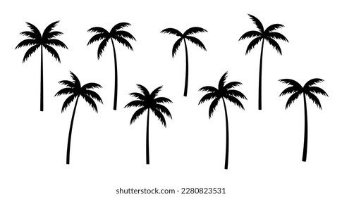 Palmtree images stock photos d objects vectors
