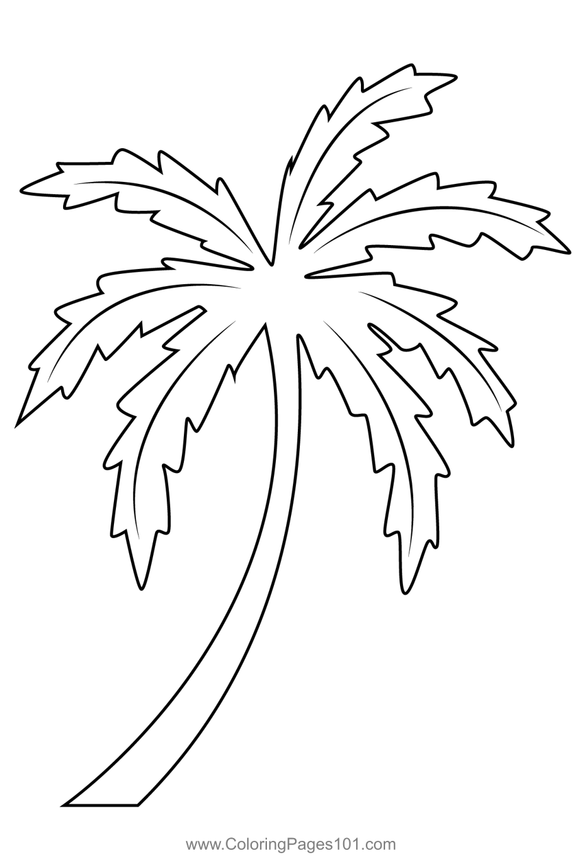 Simple palm tree colorg page tree colorg page colorg pages prtable colorg pages
