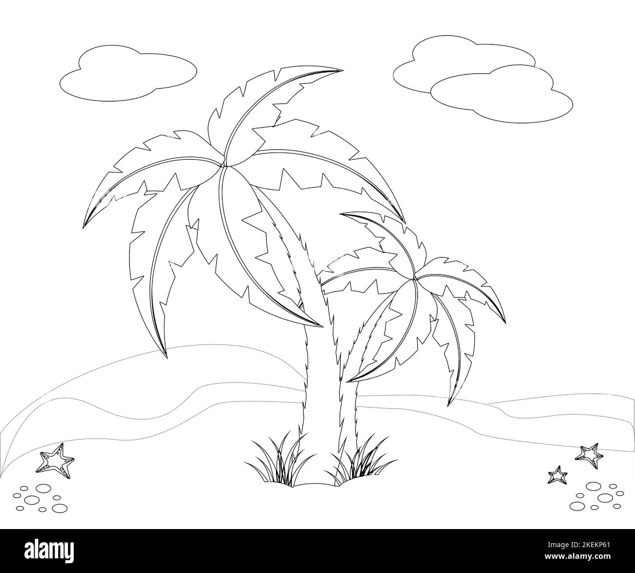 Coconut tree art black and white stock photos images