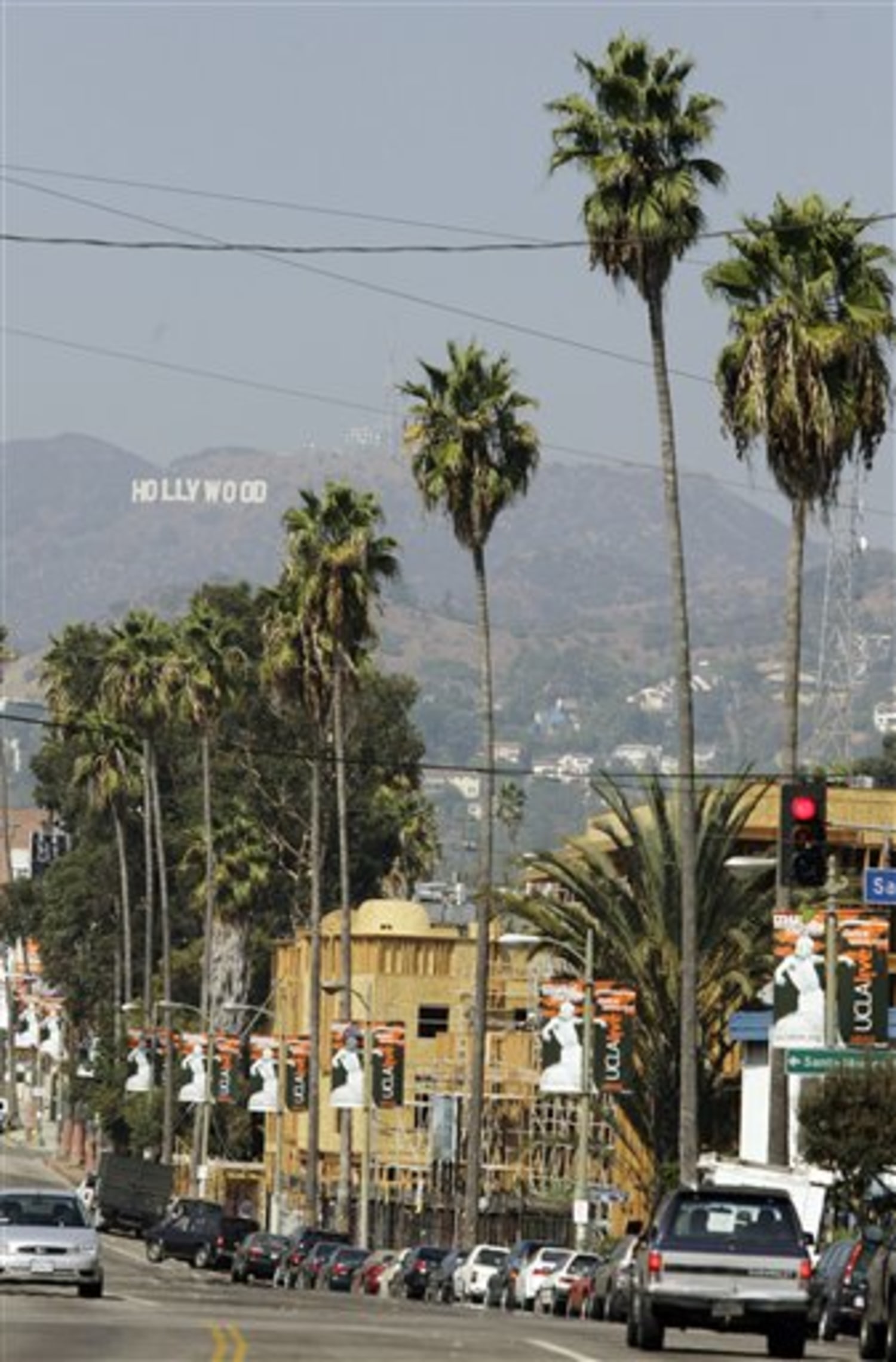 La replacing signature palm trees with natives