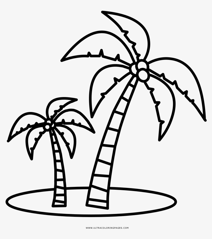 Dibujo de palmeras para colorear ultra coloring pages