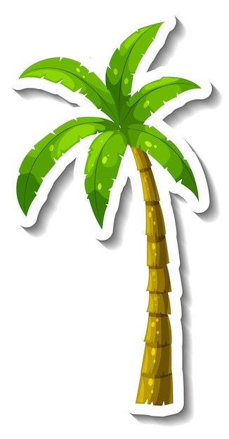 Palm tree clip art images