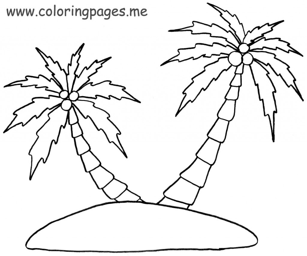 Dibujo de palmera para colorear y pintar
