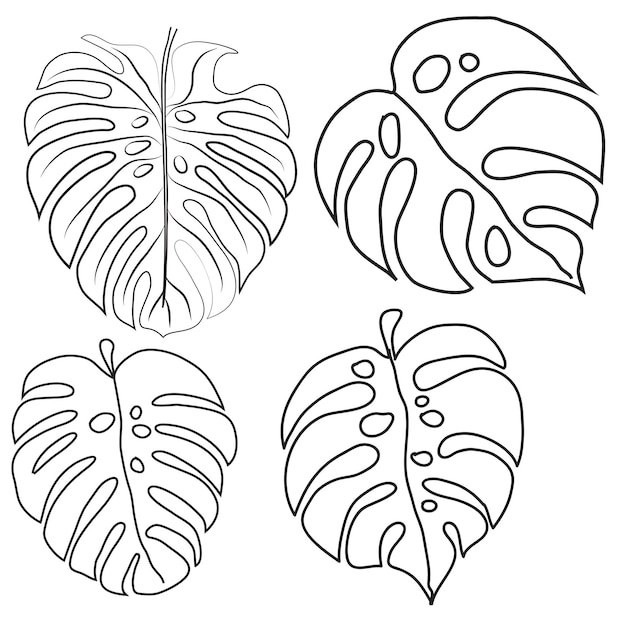 Premium vector tropical palm leaves set isolated on white background