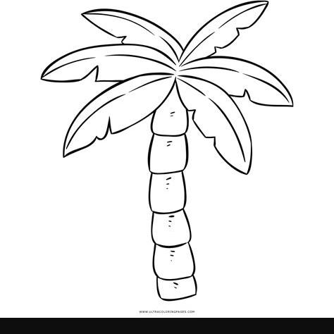 Cãmo dibujar una hoja de palmera ã paso a paso muy fãcil