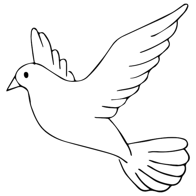 Premium vector cute bird character vector coloring pages for kids eps and image