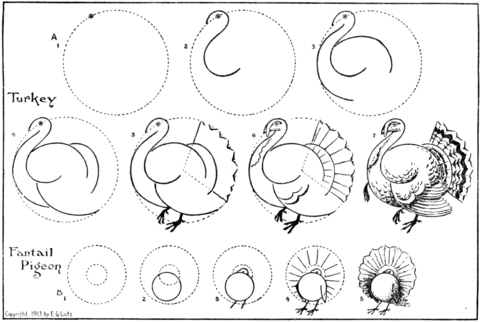 Instrucciãn de dibujo fãcil de pavo y paloma cola de milano juegos de enigmas para niãos