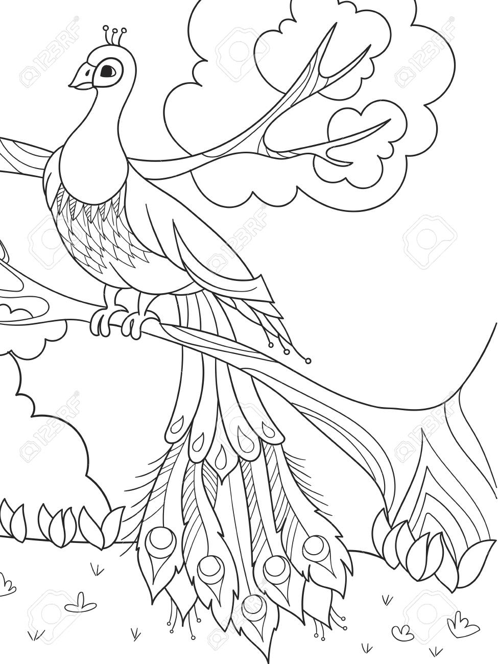 Cartoon coloring for children a bird a feather of a bird or a peacock on a tree royalty free svg cliparts vectors and stock illustration image