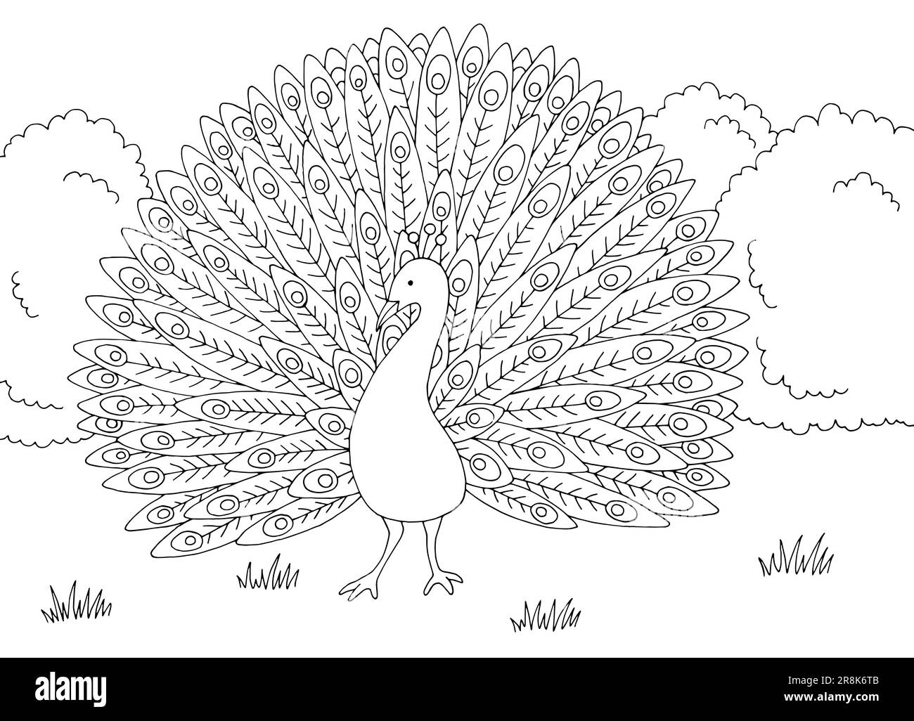 Pavo real blanco y negro imãgen de stock en blanco y negro