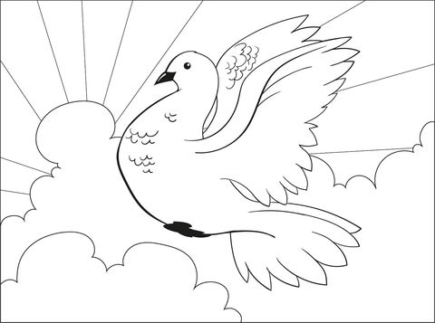 Dibujo de paloma para colorear dibujos para colorear imprimir gratis