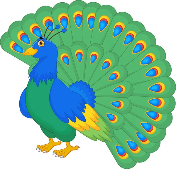 Colas de pavo real imãgenes de stock de arte vectorial