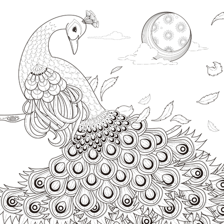 Pagina para colorear de pavo real vector ilustracion y grãficos
