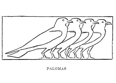 Dibujo de bandada de palomas para colorear dibujos para colorear imprimir gratis