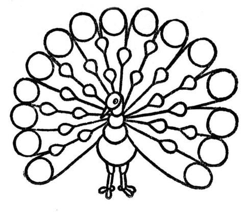 Peacock with tail open coloring page free printable coloring pages