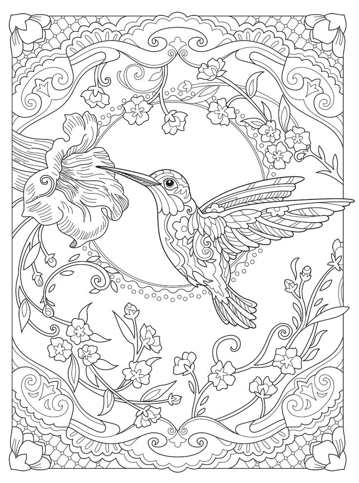 Creative haven birds and blossoms coloring book adult coloring books animals in detailed coloring pages bird coloring pages mandala coloring pages