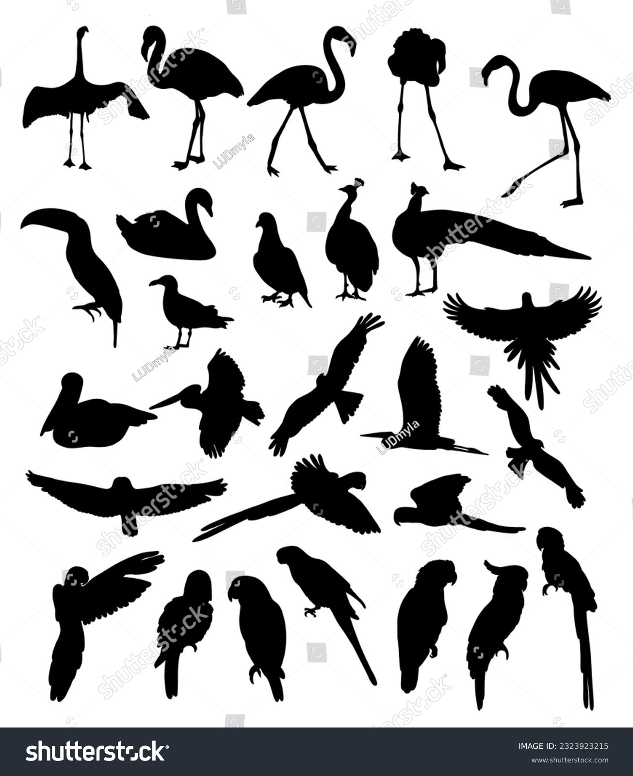 Imãgenes fotos de stock objetos en d y vectores sobre peacock or peafowl flamingo