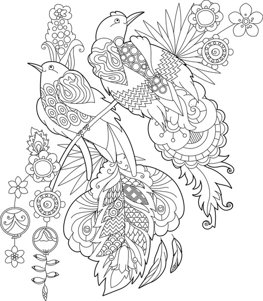 Imãgenes fotos de stock objetos en d y vectores sobre colorful birds zentangle style