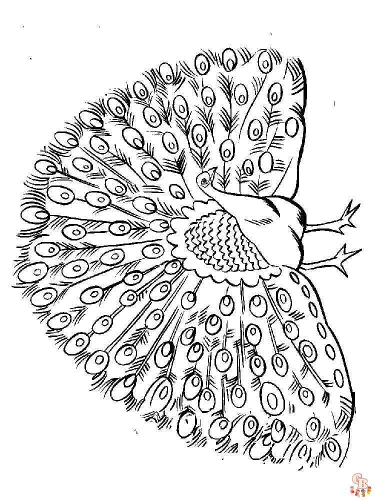 Ultimate peacock coloring pages para niãos