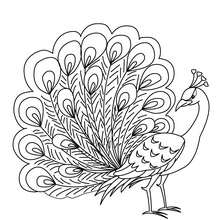 Dibujos para colorear amigos y una paloma de paz