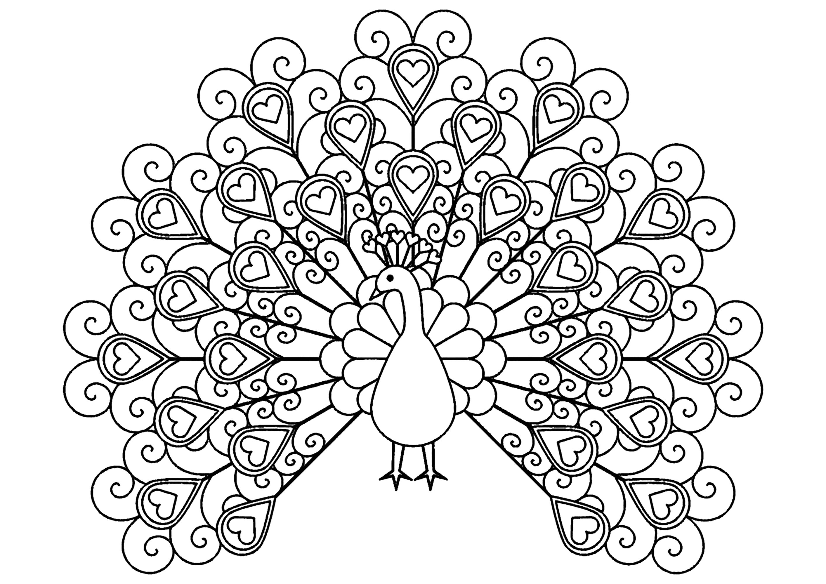 Pavo real con corazones