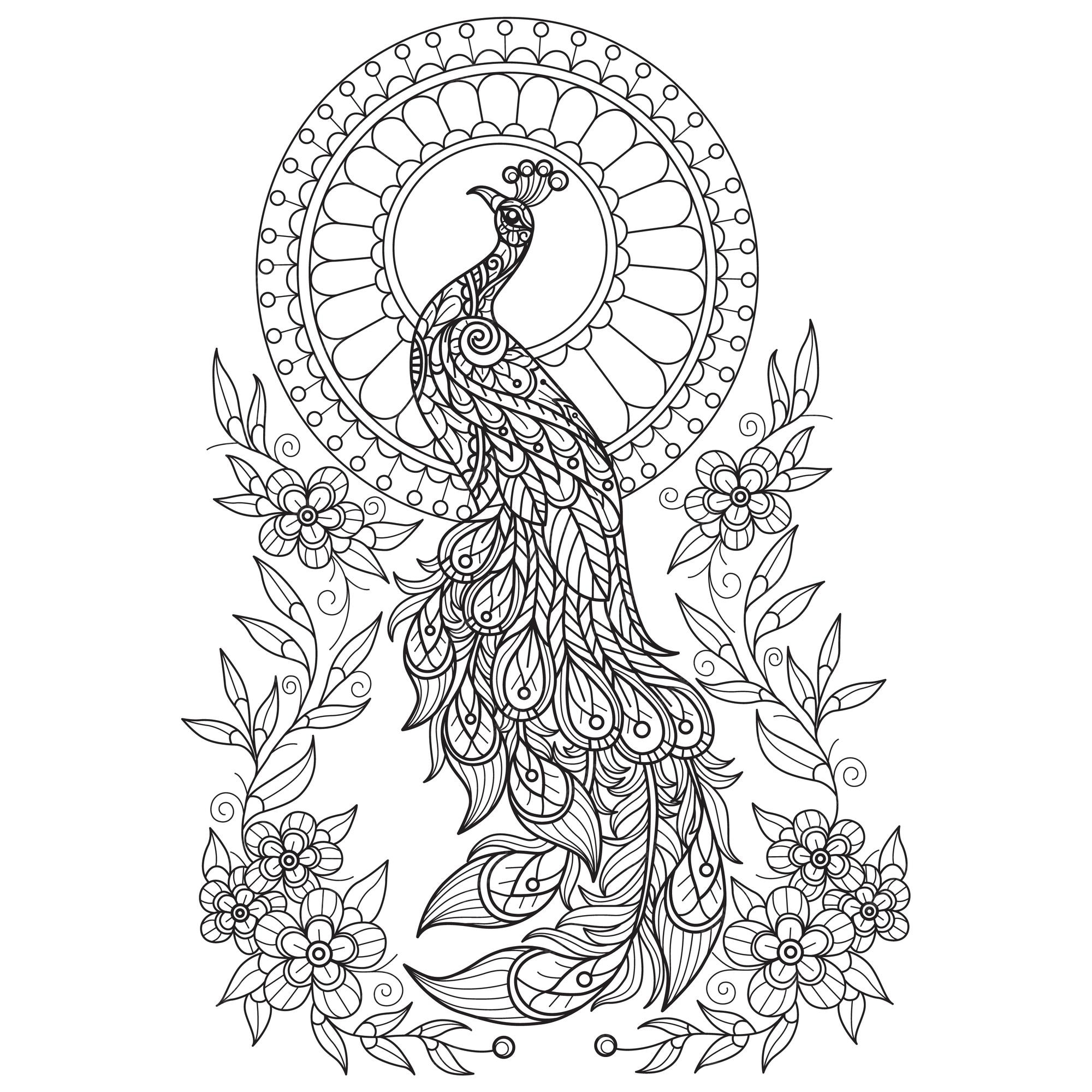 Pavo real y luna dibujados a mano para libro de colorear para adultos vector premium