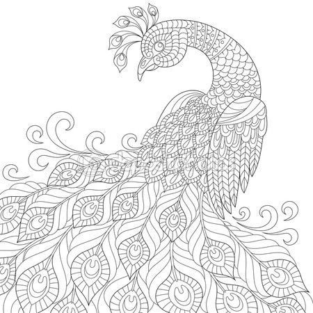 Pin on repujado pavo real