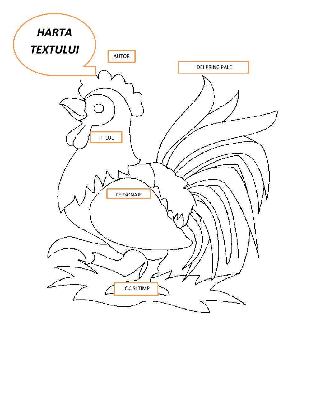 Cocos de munte fotografiat online exercise for live worksheets