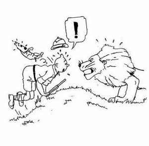 Tintin
