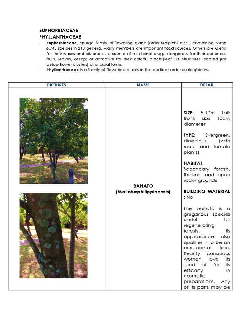 Part pdf trees botany