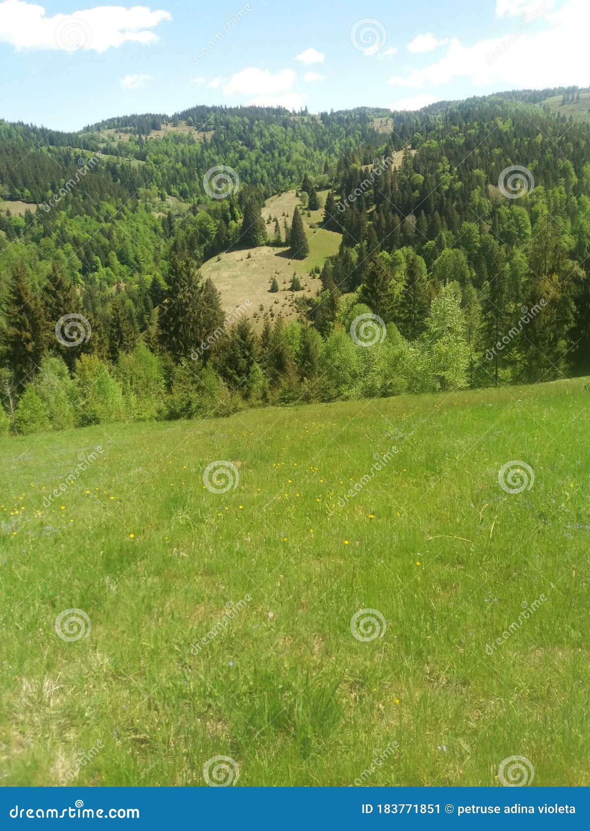 Peisaj stock photos