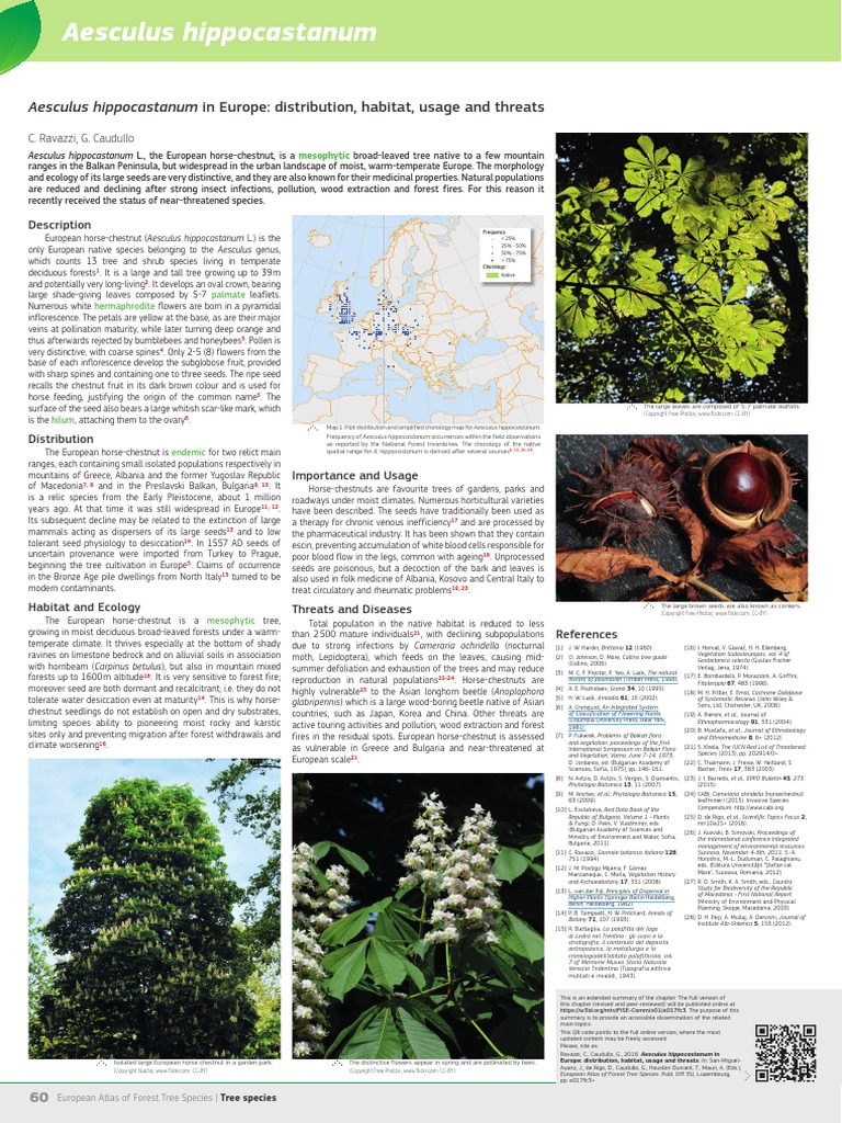 Aesculus hippocastanum in europe distribution habitat usage and threats by ravazzi and caudullo eafs pdf trees organisms