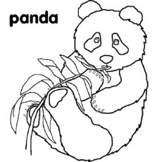 Top free printable cute panda bear coloring pages online