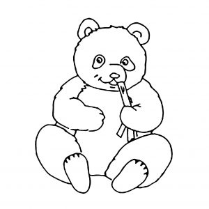 Pandas