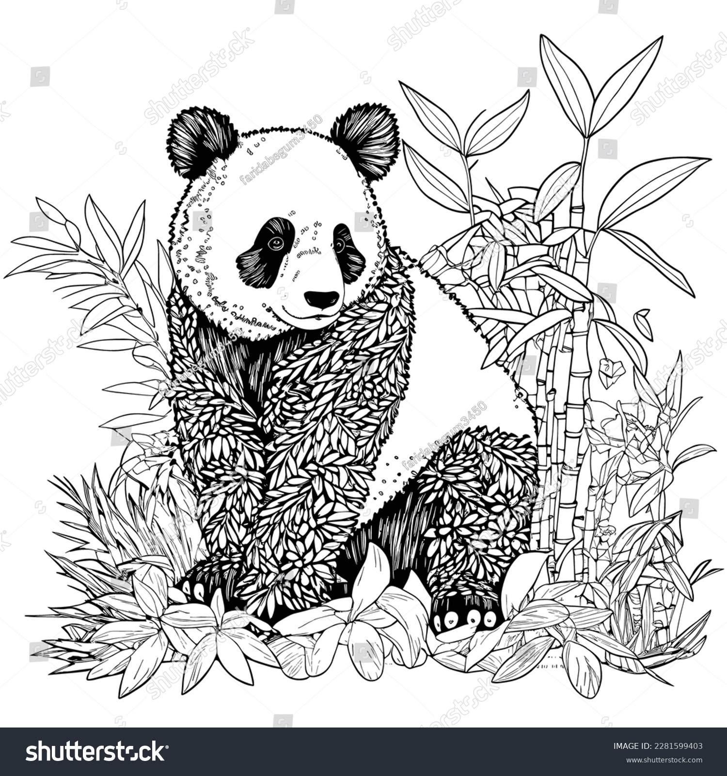 Panda adult coloring images stock photos d objects vectors