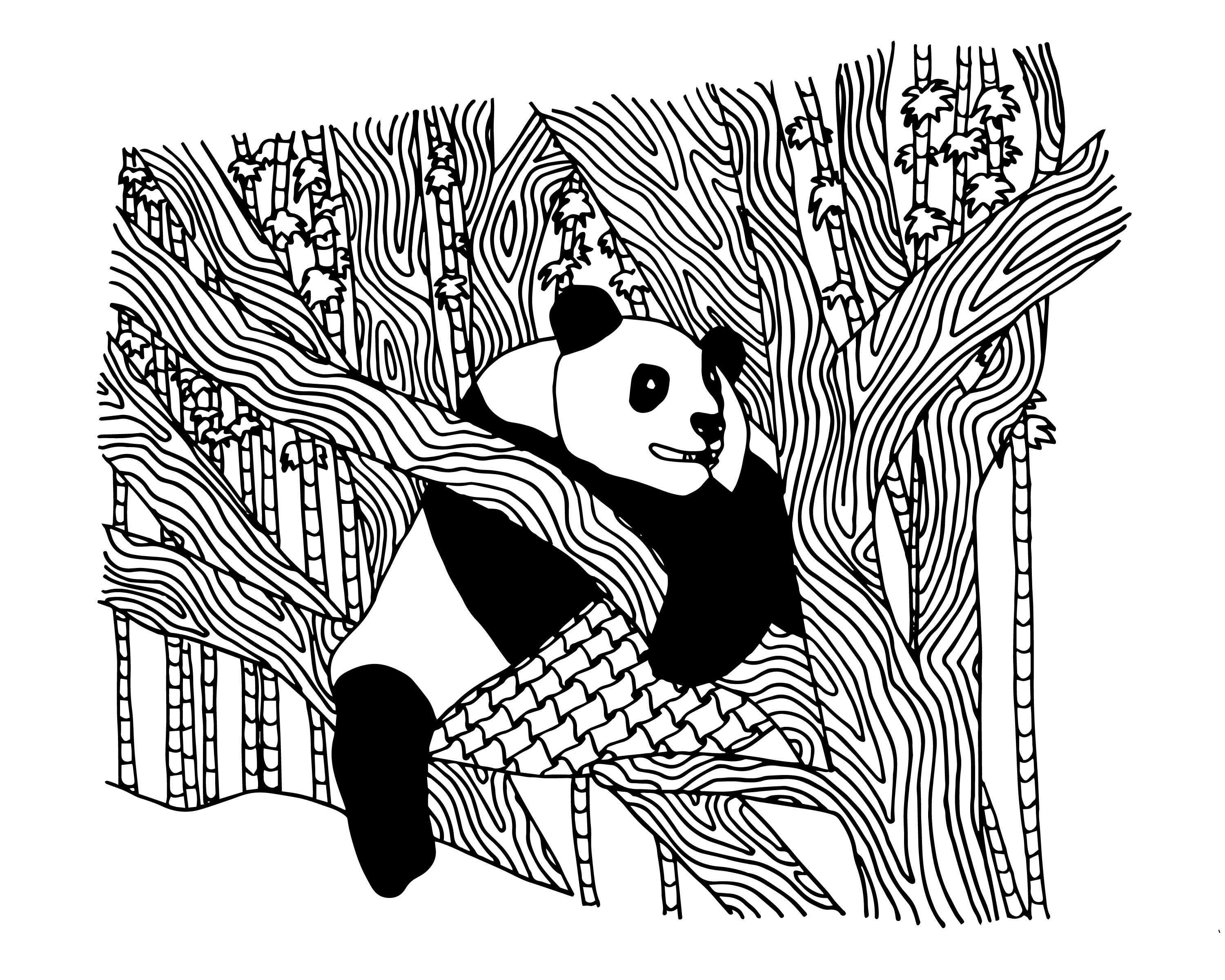 Panda coloring page for adults tree coloring page panda coloring pages animal coloring pages